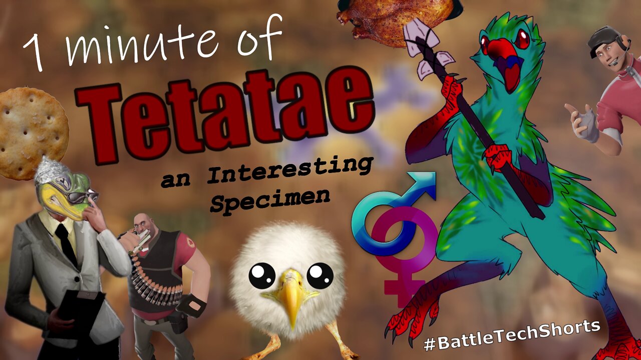 BATTLETECH #Shorts - Tetatae, an Interesting Specimen