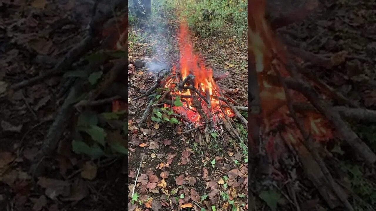 A Bonfire Kind Of Night