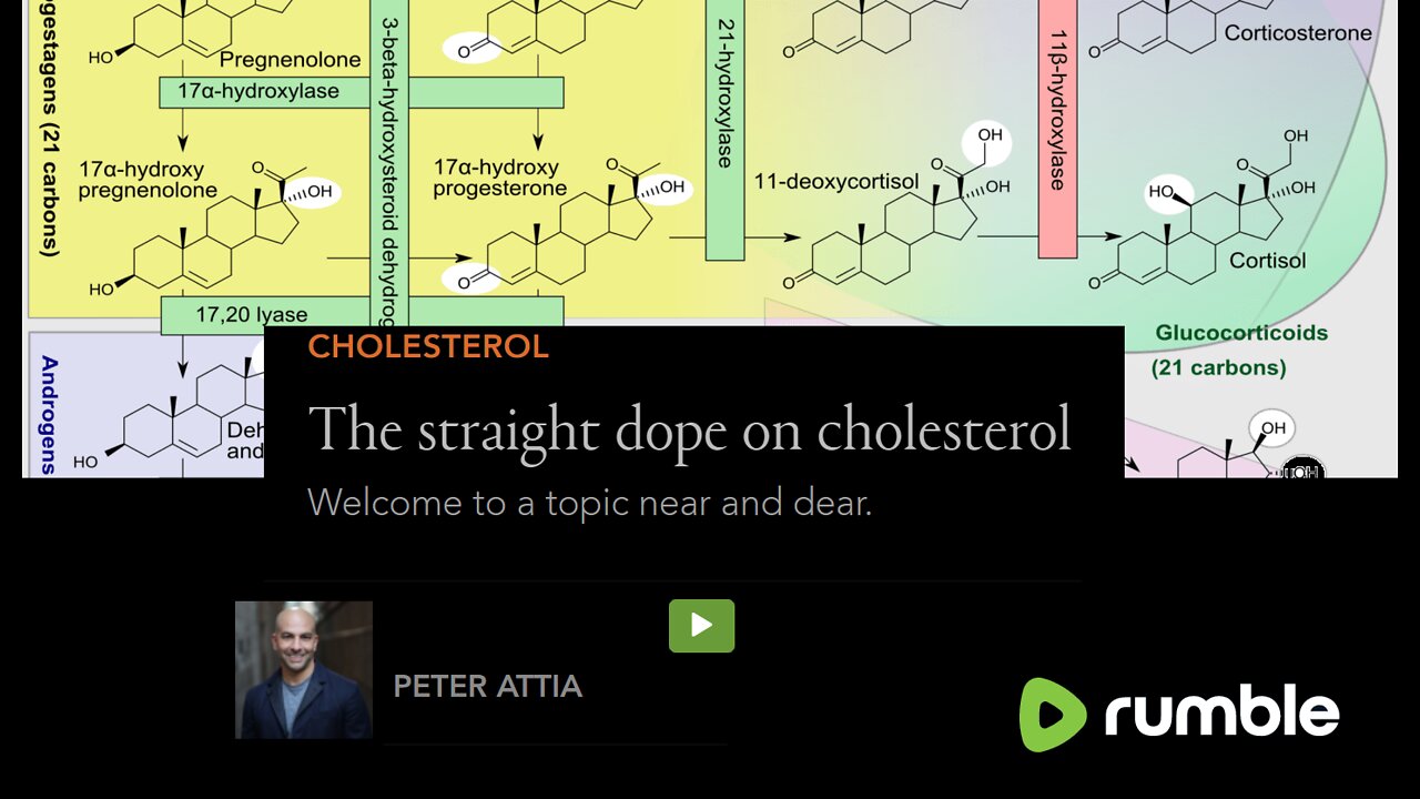 The Straight Dope on Cholesterol - AHS12 Peter Attia, MD