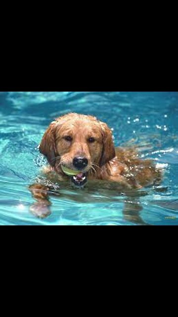 Adorable in the pool ❤️❤️