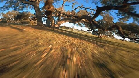 12/17/22, Vannystyle Freestyle FPV