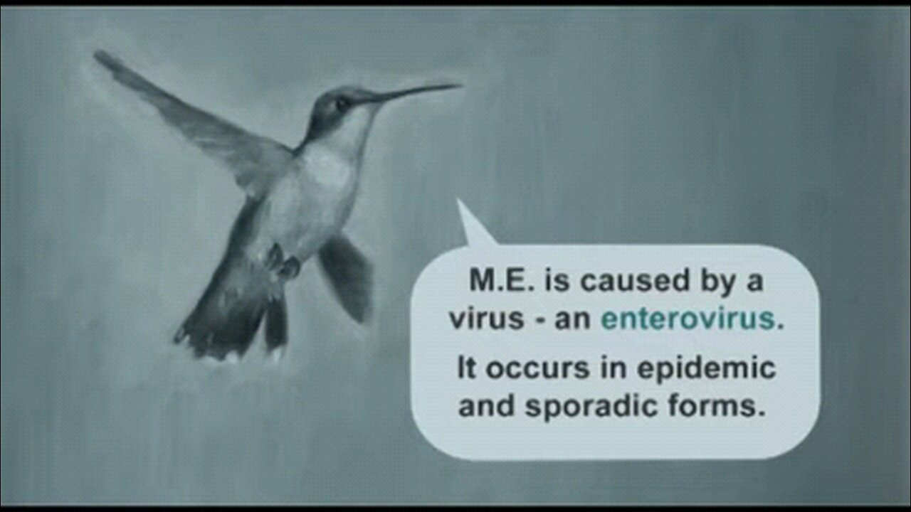 What causes Myalgic Encephalomyelitis (M.E.) ? (Cleanvoice Enhanced A.I. Sound Remaster) - Jodi Bassett