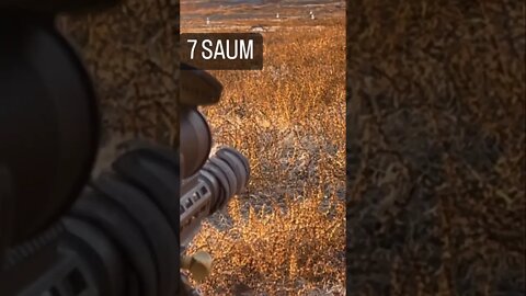 7 SAUM