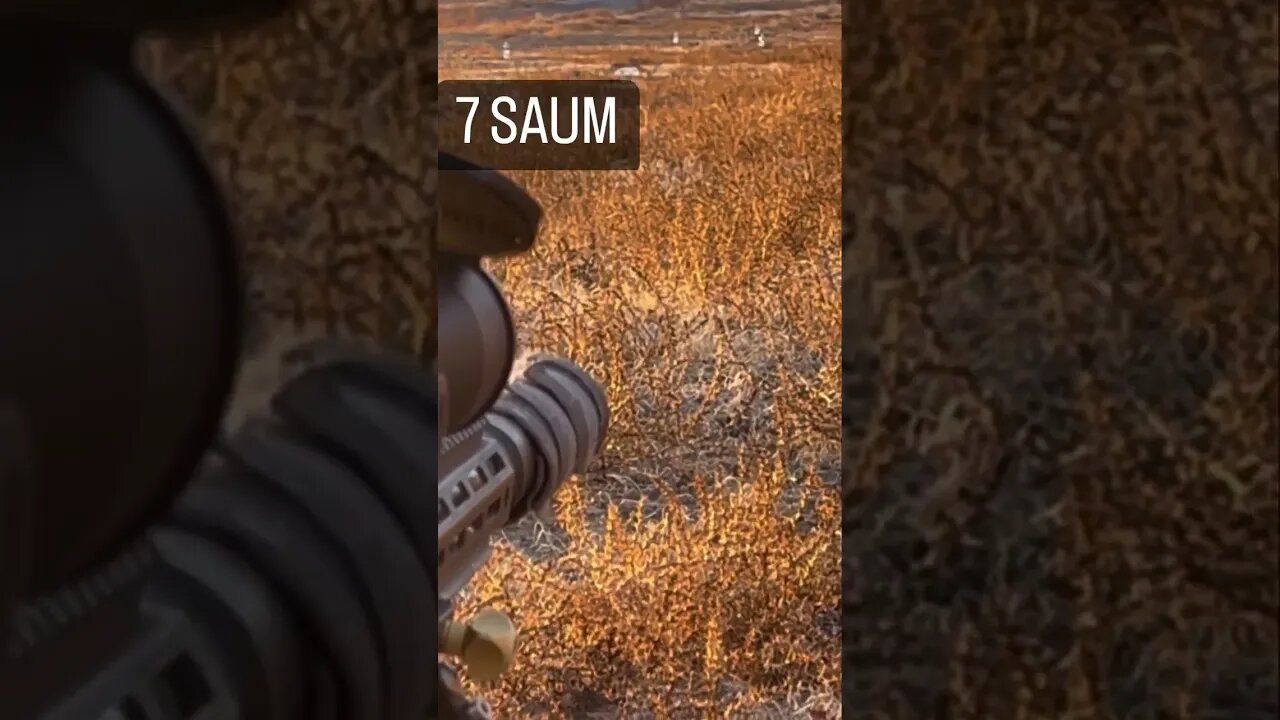 7 SAUM
