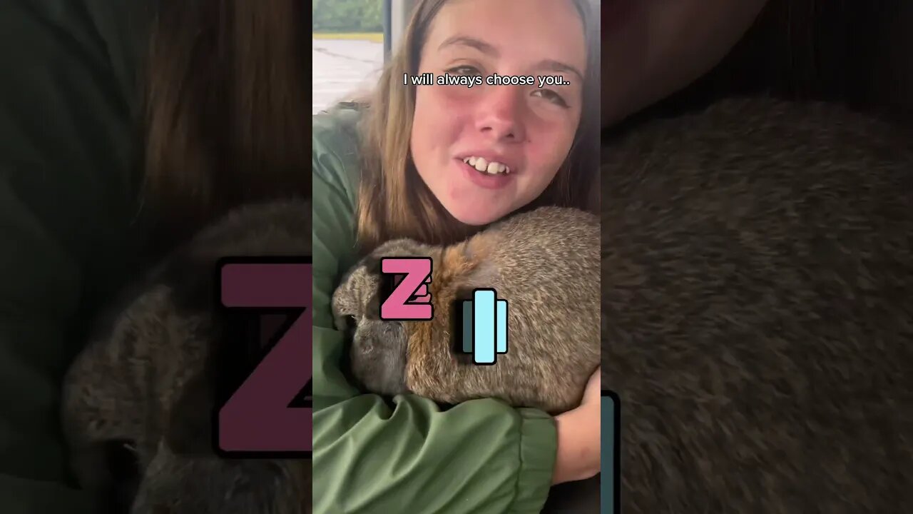 Sweet Bunny