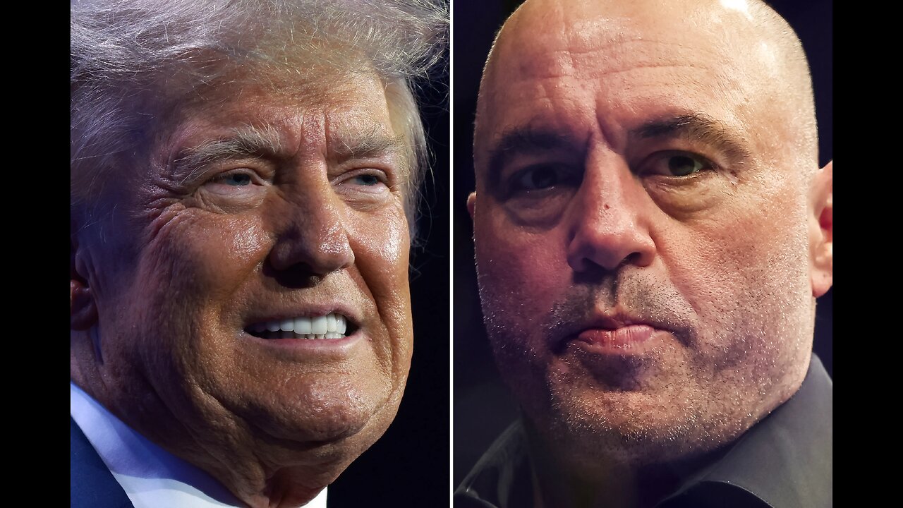 TRUMP DISSES THE JOE ROGAN DIS. RKF,JR MESSES WITH DEAD BEAR