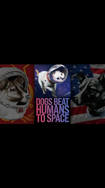 Dogs Beat Humans to Space 🚀 #shorts