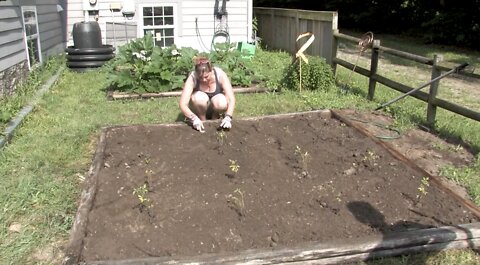 How to Build a Garden Box