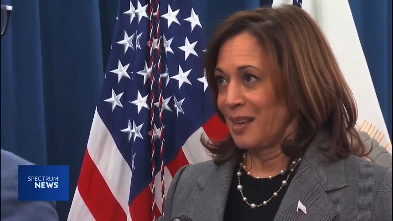 Kamala Harris is asked what would happen if Donald TRUMP becomes president, rolls back DEI programs