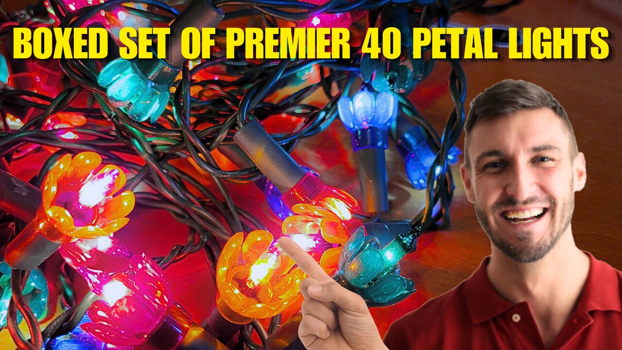 Boxed Set of PREMIER 40 Petal Christmas Lights