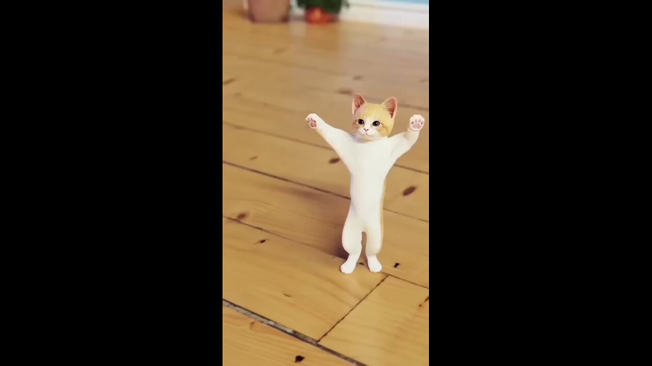 cat dans 😺😺