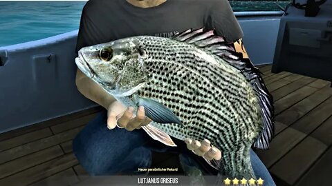 Ultimate Fishing Simulator 2 Folge 19 Erste mal Thailand