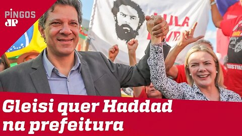 Gleisi quer Haddad na prefeitura de São Paulo