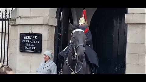 He got the message don't touch reins #horseguardsparade