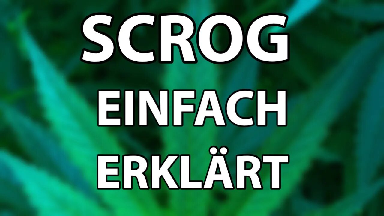 SCREEN OF GREEN - ERTRAG STEIGERN MIT EINFACHER METHODE - Vorteile, Nachteile und Fakten