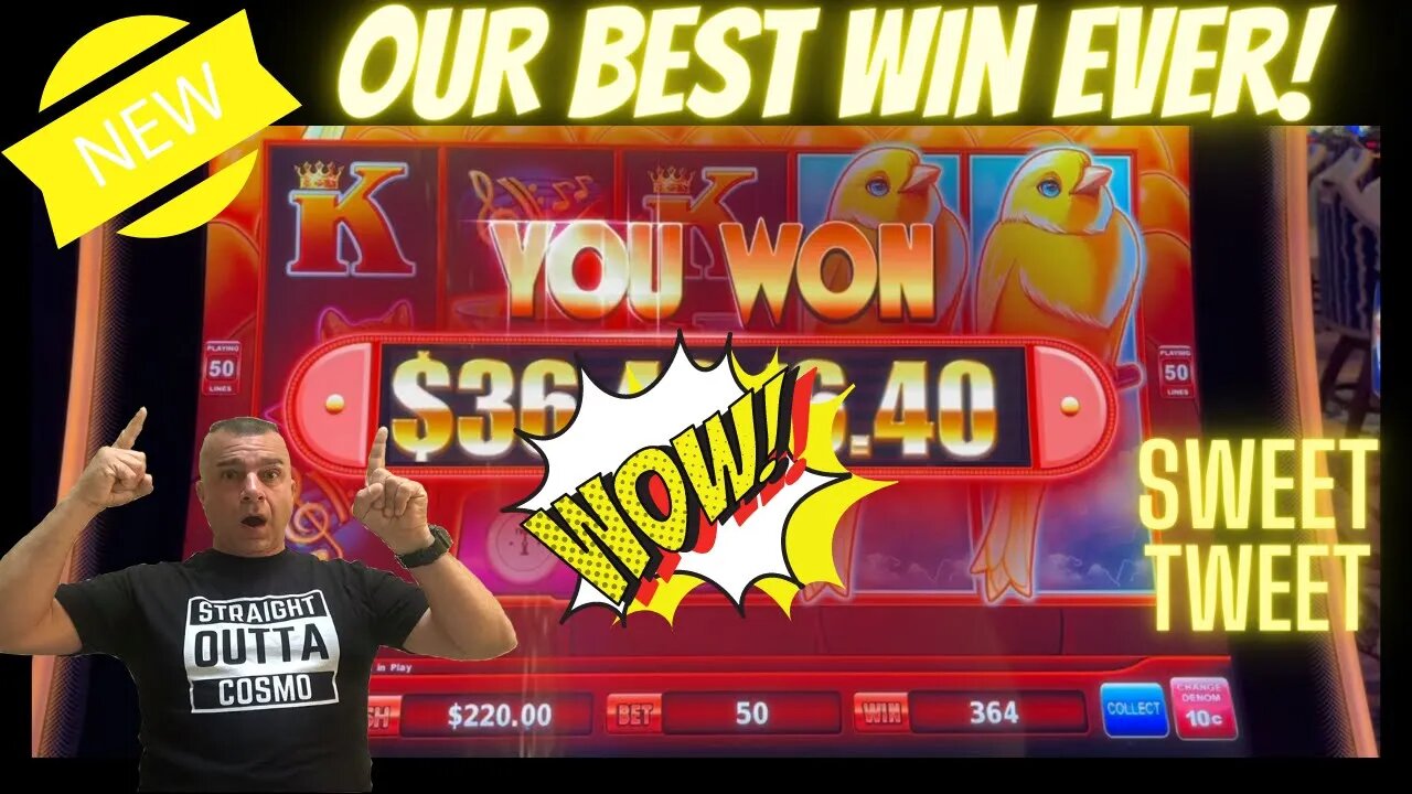 š„BIGGEST WIN EVER! Lock It Link Sweet Tweetš„