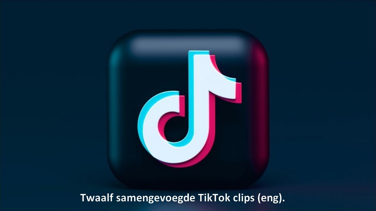 Twaalf samengevoegde TikTok clips (eng).