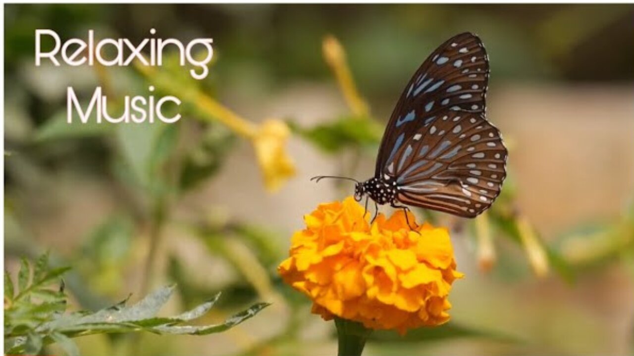 "Beautiful Relaxation Music That Will Relieve You Of Stress And Anxiety."