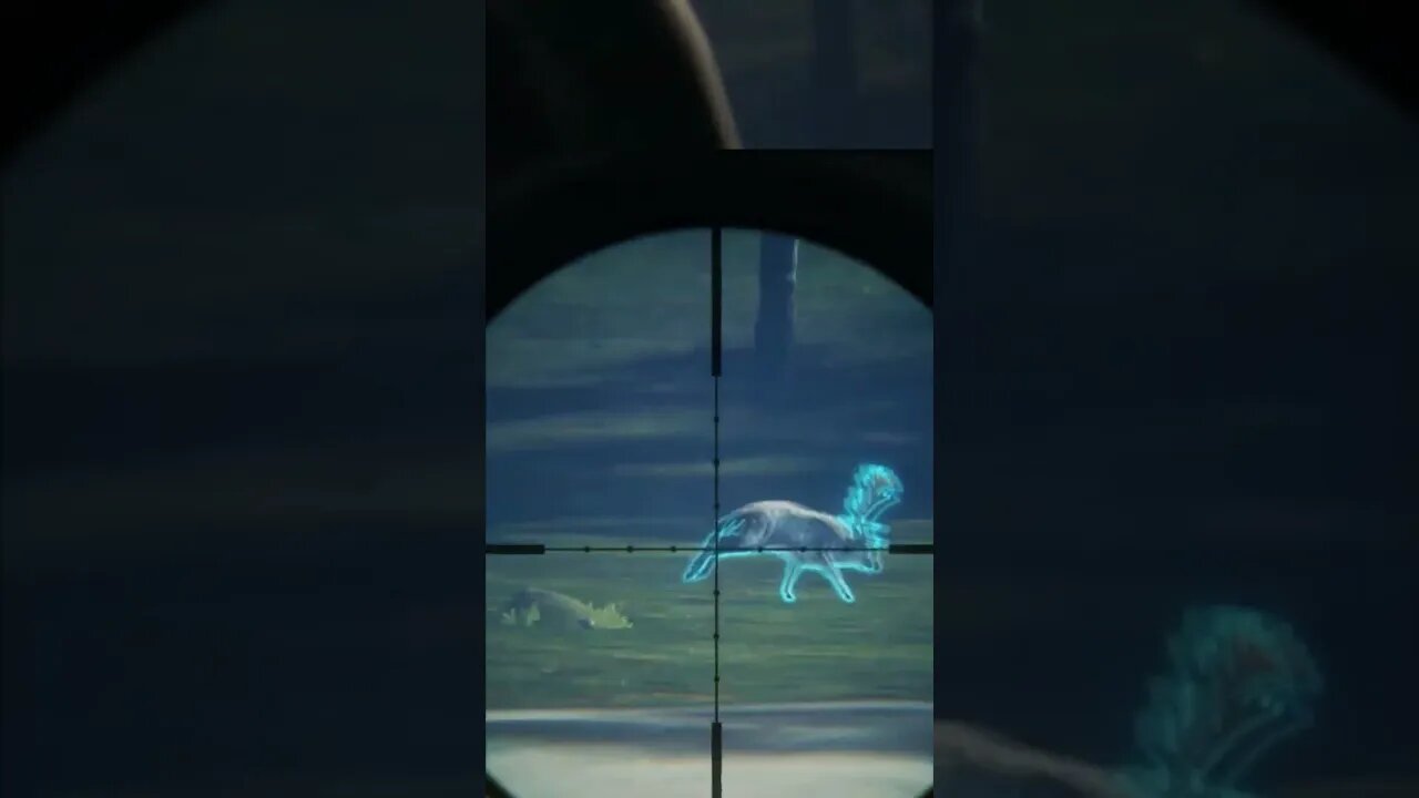 2 great ones next to each other #shorts #huntercallofthewild