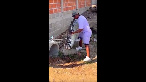 CROCODILE PRANK #FUNNYVIDEO