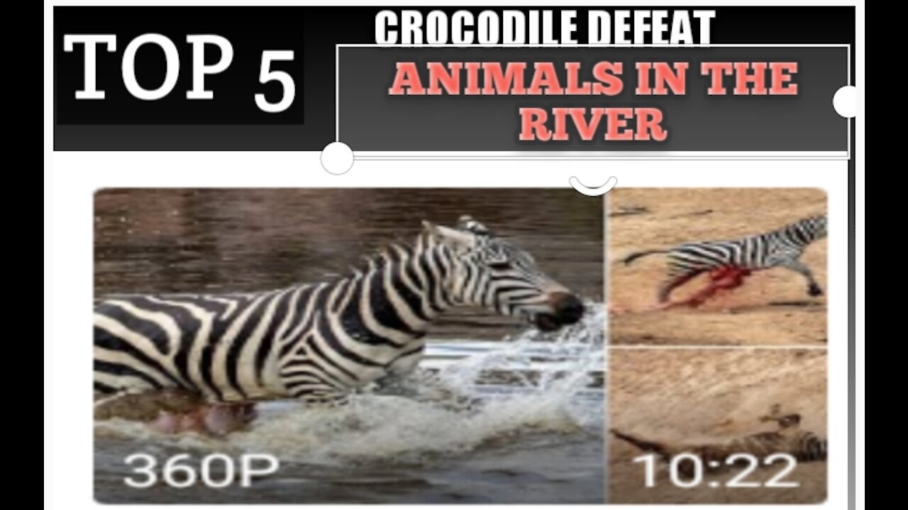 Top 5 crocodiles defeat animals in river