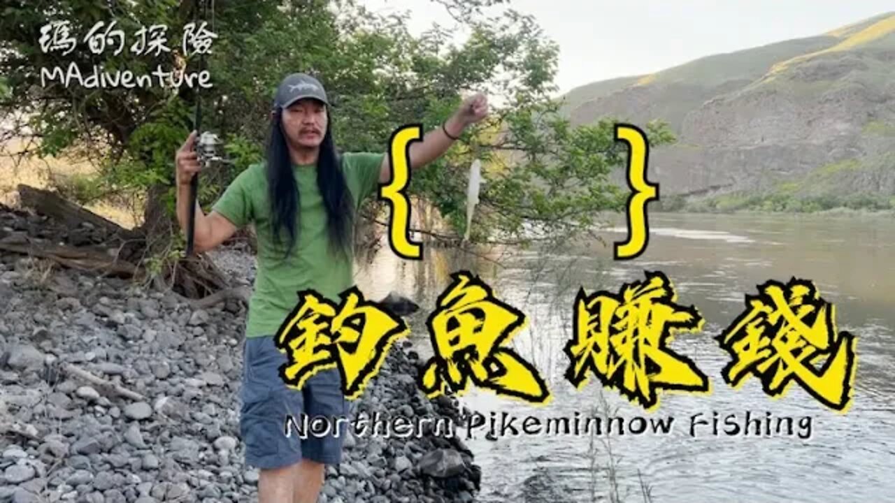 戶外探險 | 挑戰釣魚人最愛的高薪副業 釣魚賺獎金 瑪莉和理查要發財了嗎？Fishing for Northern Pikeminnow at Snake River Washington