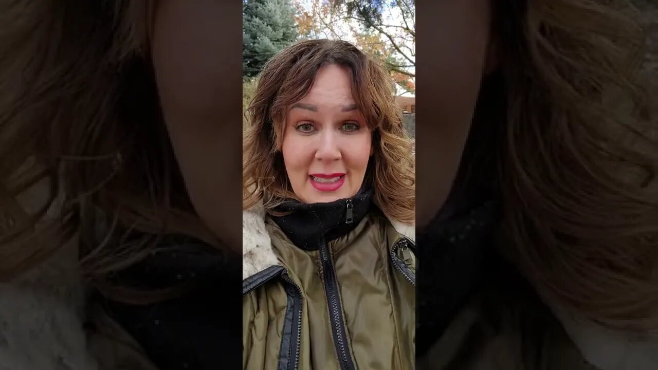Walks in the winter