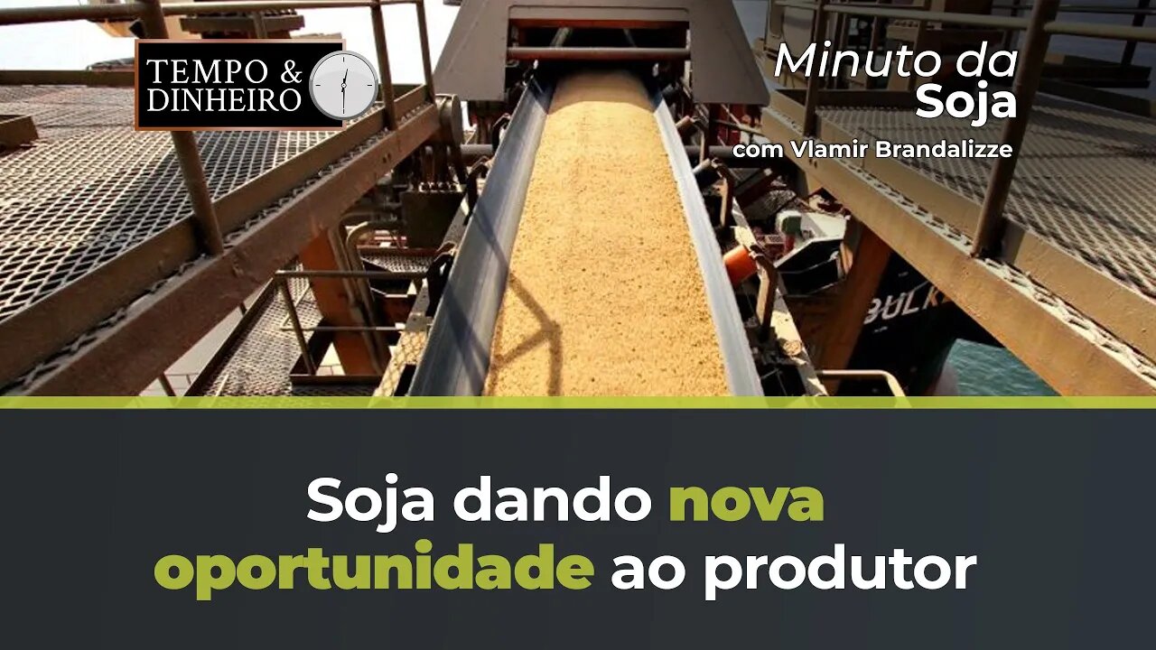 Soja dando nova oportunidade ao produtor