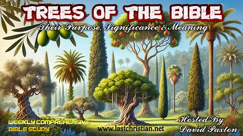 Trees Of The Bible - Their Purpose, Significance & Meaning