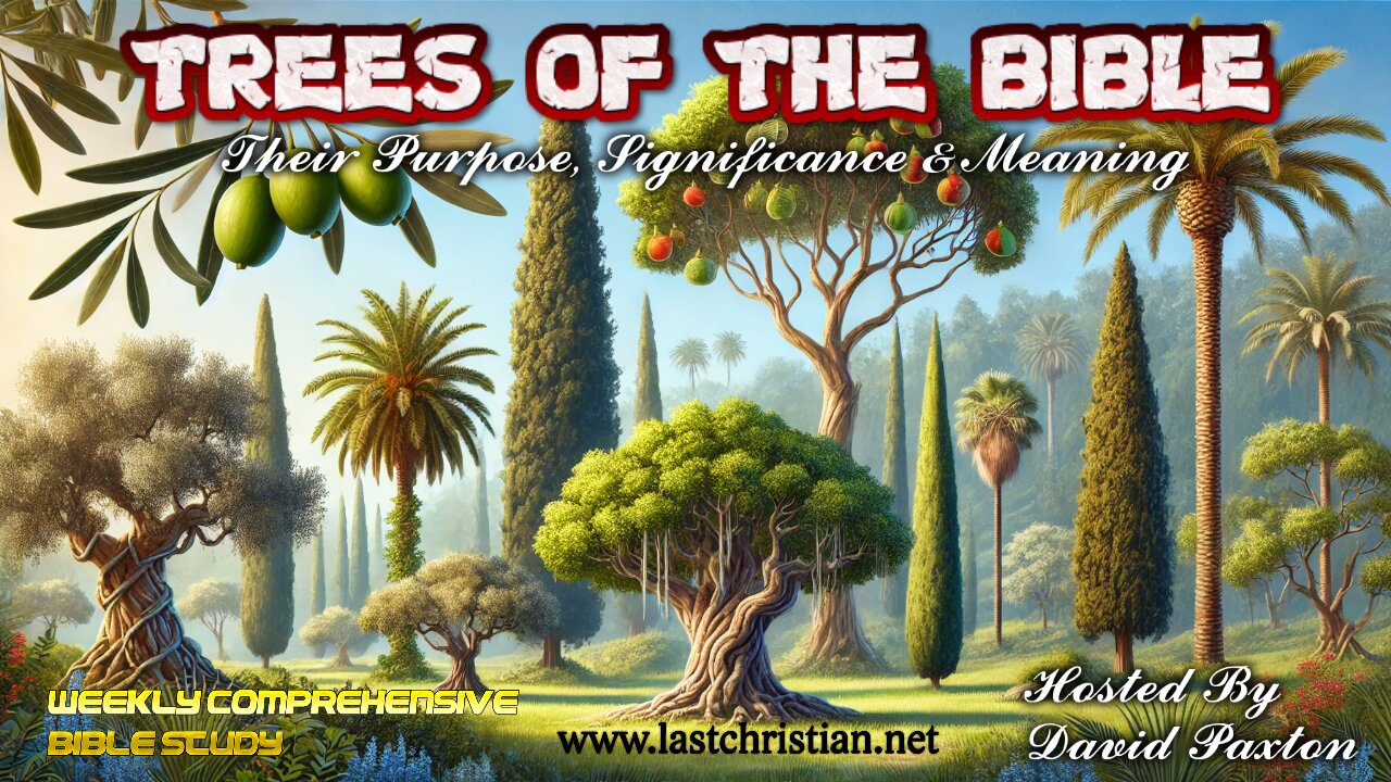 Trees Of The Bible - Their Purpose, Significance & Meaning