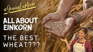 Is Einkorn REALLY the Healthiest Type of Wheat?