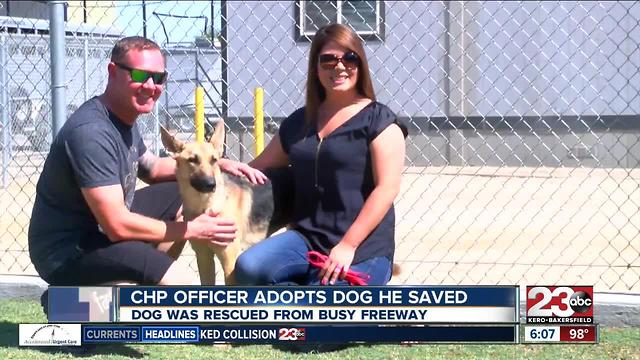 CHP officer adopts dog he saved