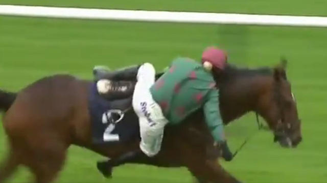 Female Jockey FALLS Off Her Horse Right at the Finish Line!