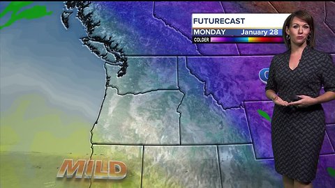 Mild mid-winter weather continues for final few days of January