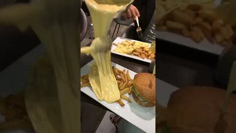 Cheddar Loving Tiktok carluccia