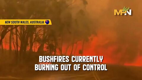 Devastating Bushfires in NSW, Australia