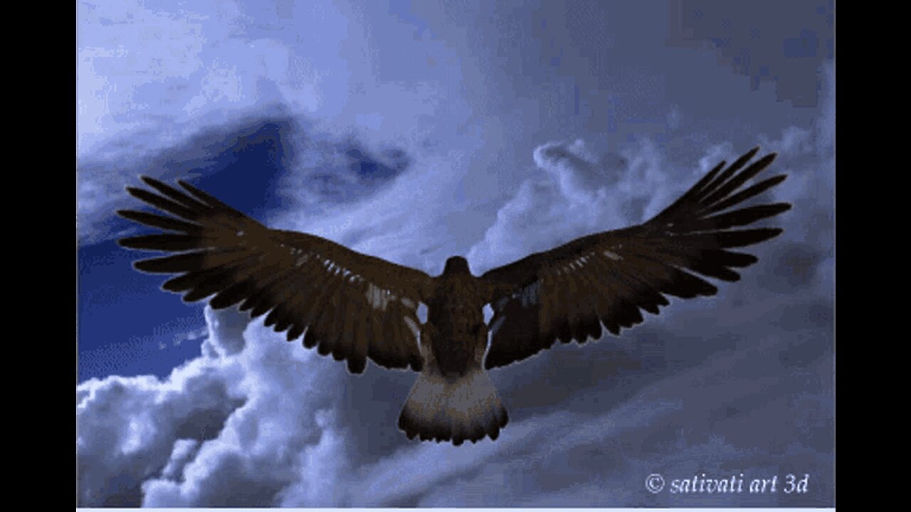 11/12/2023 Transformation for Translation