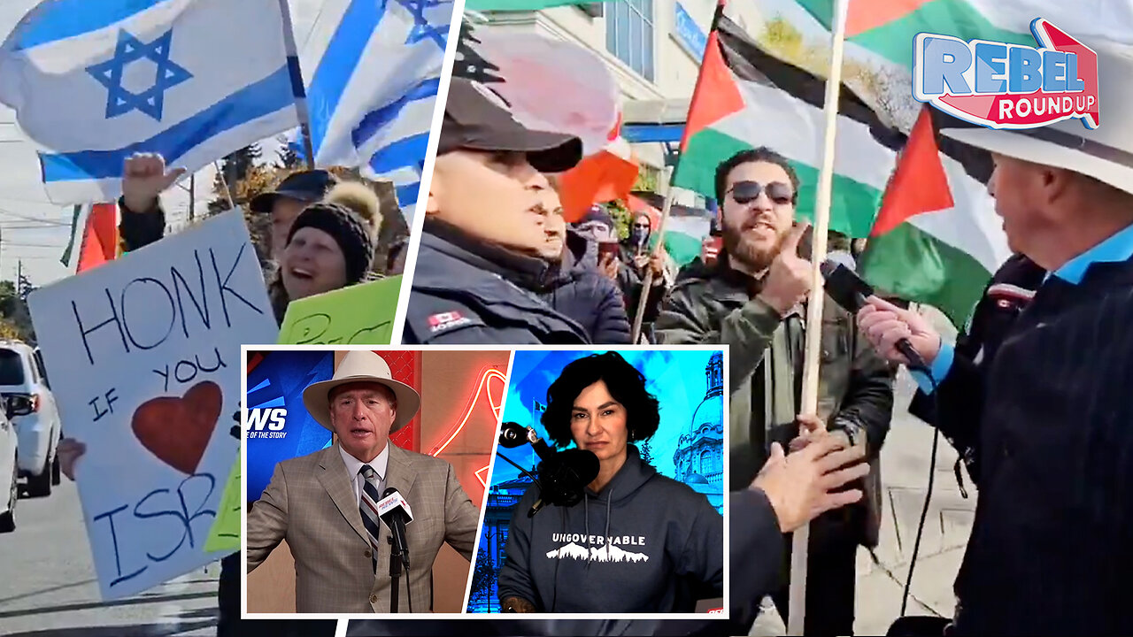 Pro-Hamas protester strikes reporter's microphone, Toronto police stand by idly