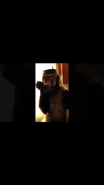 Do y’all remember old square school pizza! Well mom got a case today #Shorts