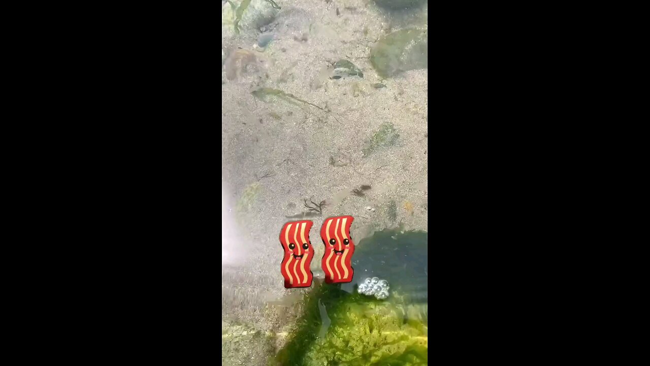 Women are a lot like Bacon