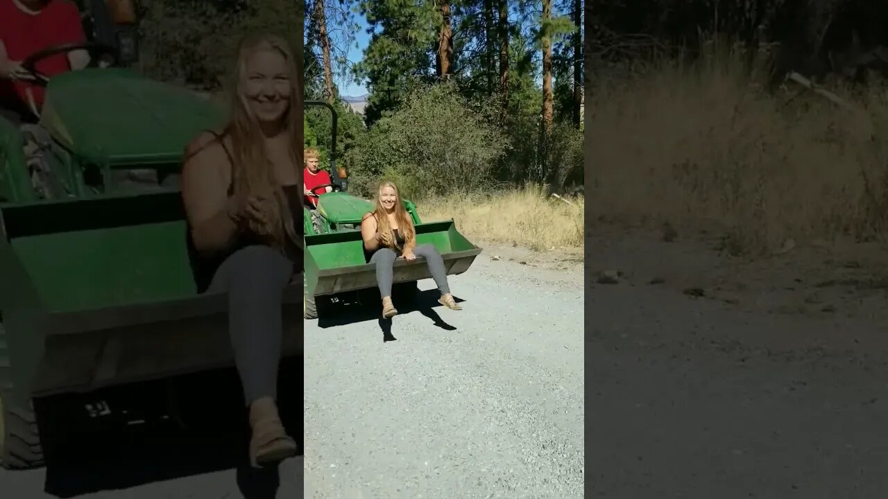 #homesteading #homesteadlife #farm #farmlife #lazy #tractor