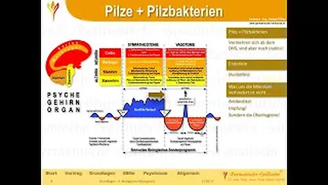 4. und 5. Biologisches Naturgesetz