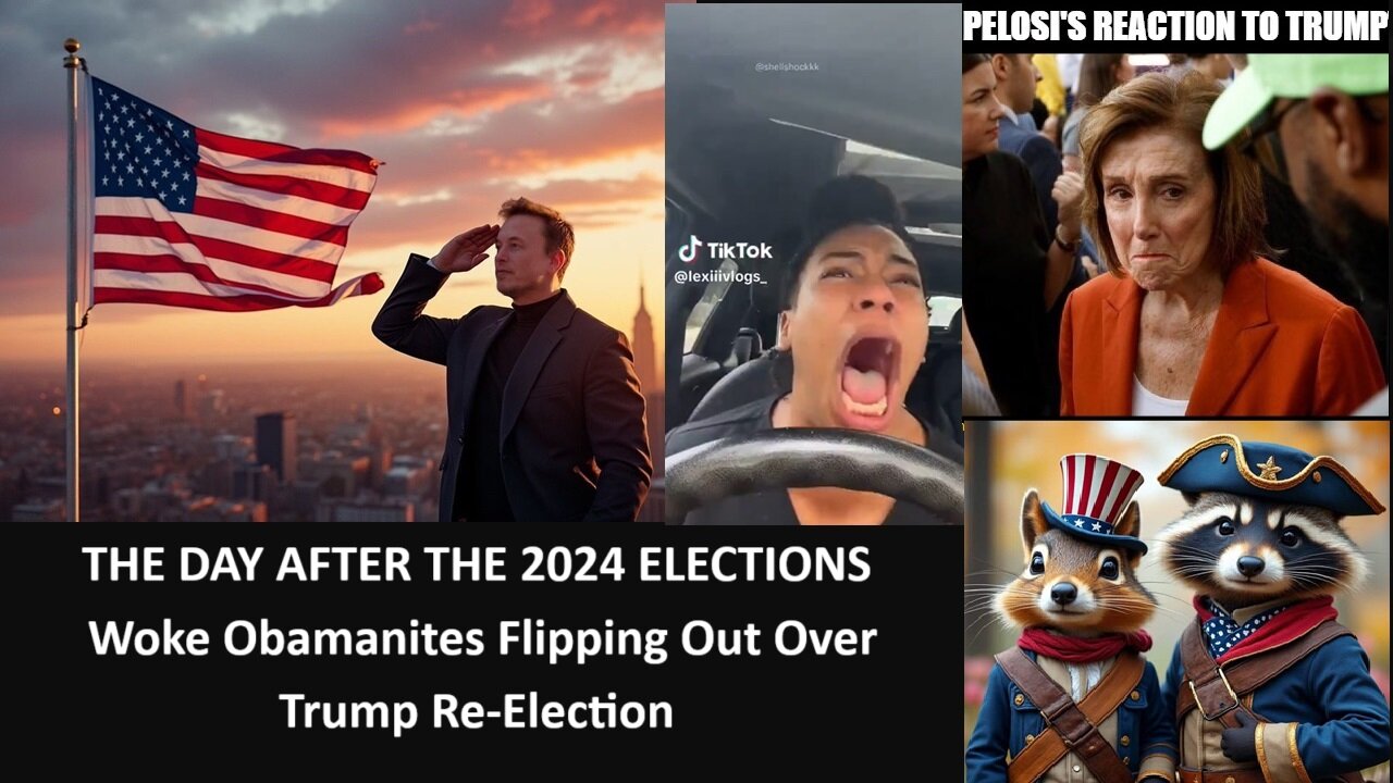 THE DAY AFTER THE 2024 ELECTIONS: Woke Obamanites Flipping Out Over Trump Re-Election