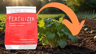 Choosing the Best Fertilizer for Your Garden: A Beginner's Guide