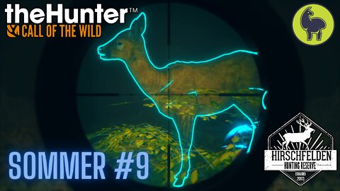 Sommer #9 Hirschfelden | theHunter: Call of the Wild (PS5 4K)