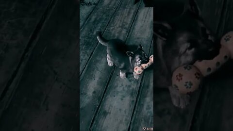 daysgone gameplay #gameplay #shorts #pcgaming #viral