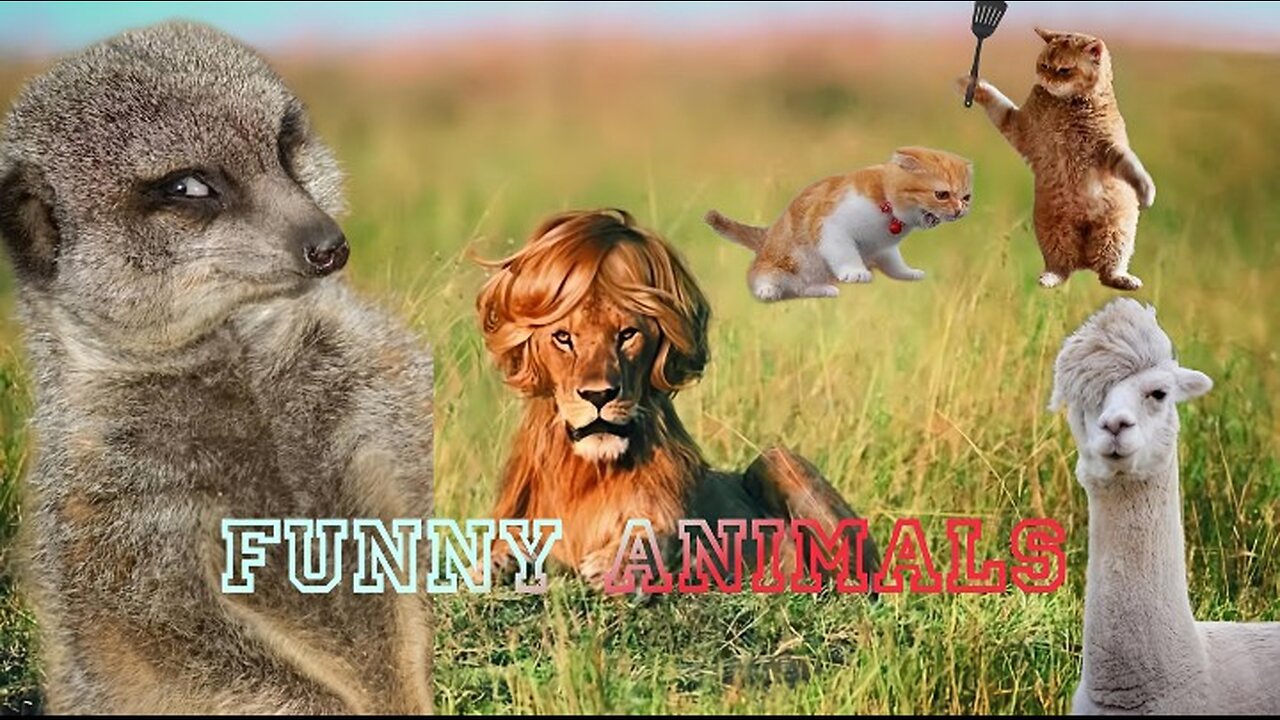 Pawsitively Hilarious: Funny Animal movement