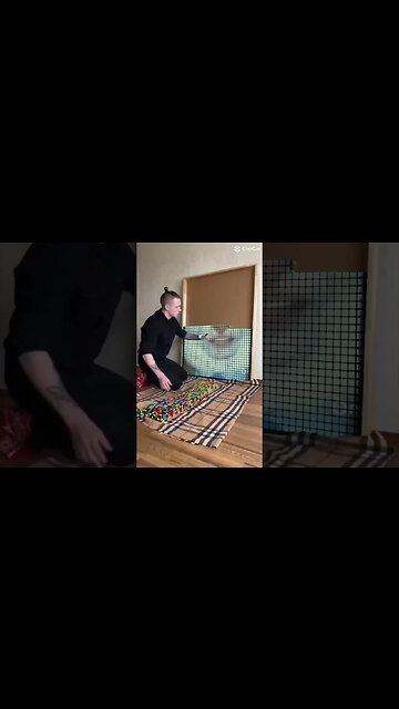 YouTube Shorts Isn’t that bad #mondayleftmebroken #viral #funny #cat