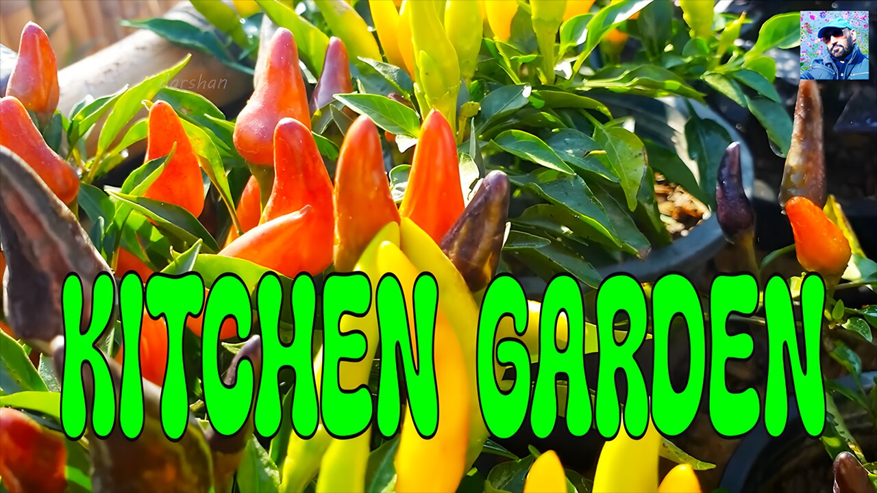 kitchen Garden