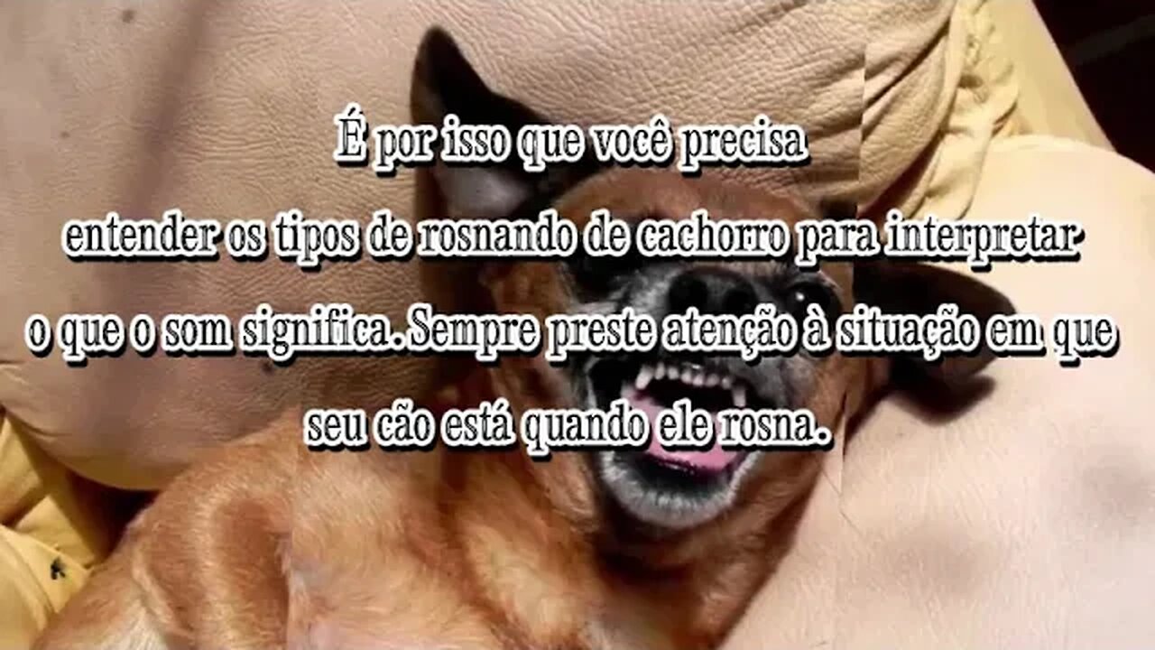 ROSNADO
